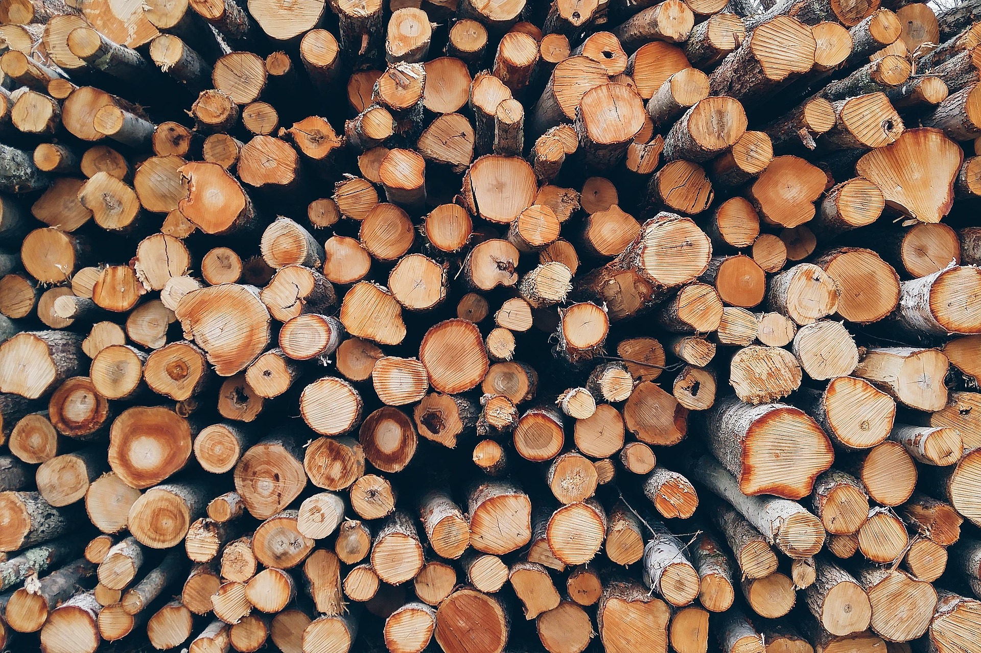 Brennholz – ein heißes Thema