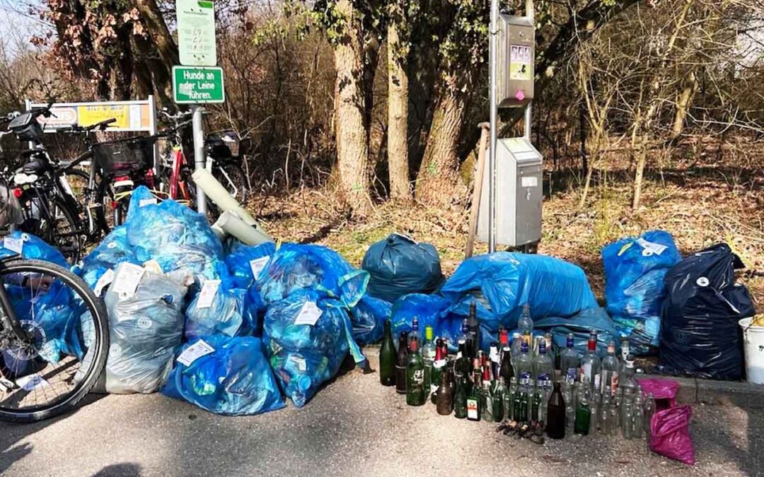 1. Waldaktionsstag 25.10.25